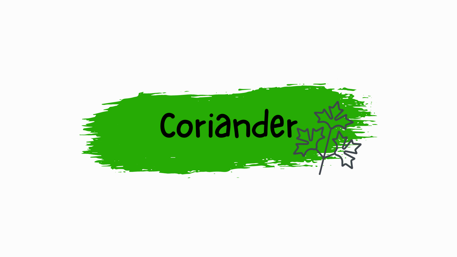 Moss green coloured splash of paint with cartoon outline of coriander leaf superimposed