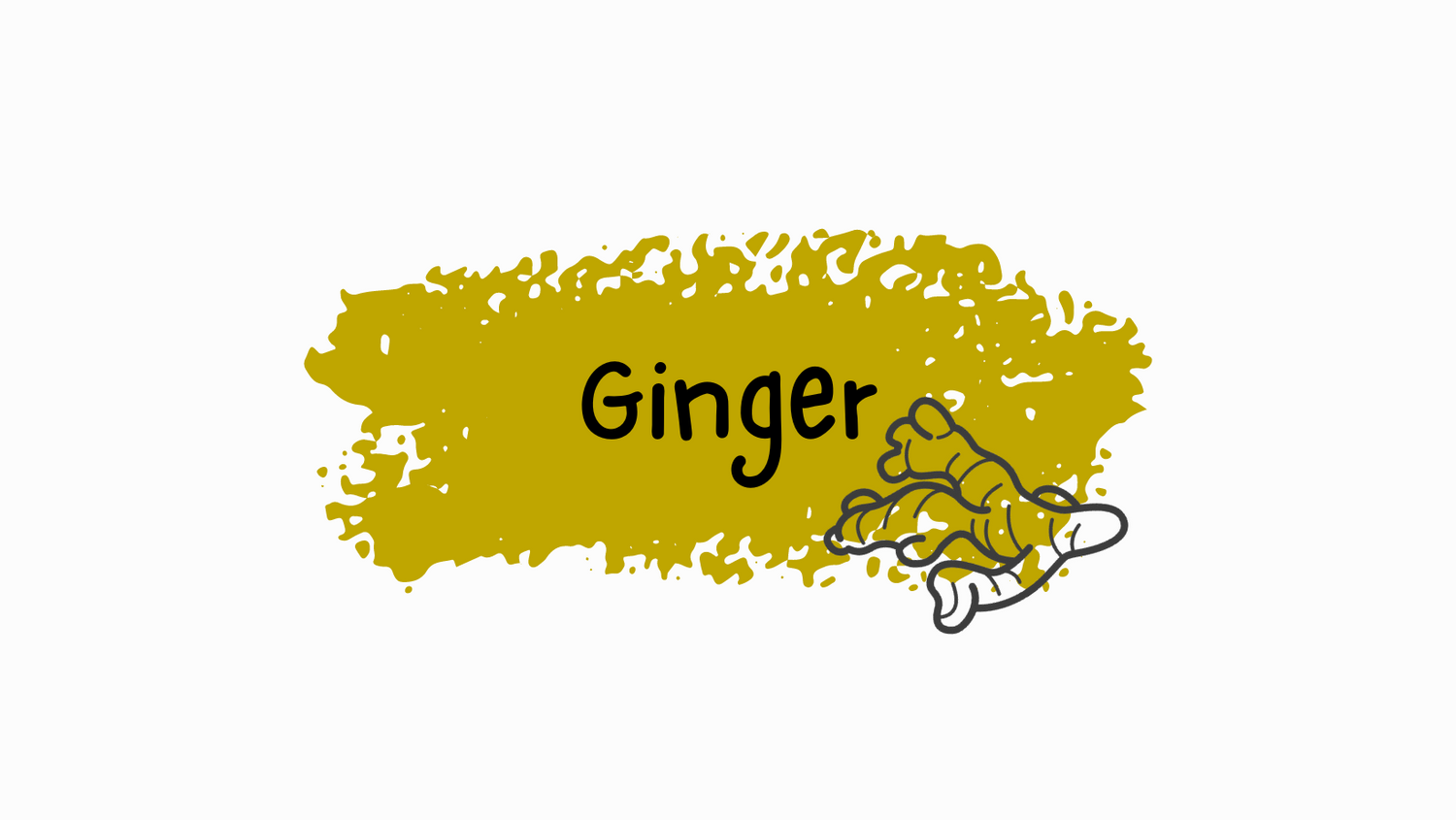 Ginger coloured splash of paint with whole ginger root cartoon drawing superimposed